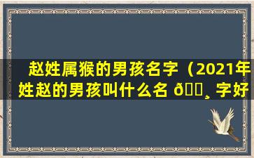 赵姓属猴的男孩名字（2021年姓赵的男孩叫什么名 🌸 字好 🐦 ）